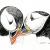 Atlantic Puffins n°1 - note card - Image 2