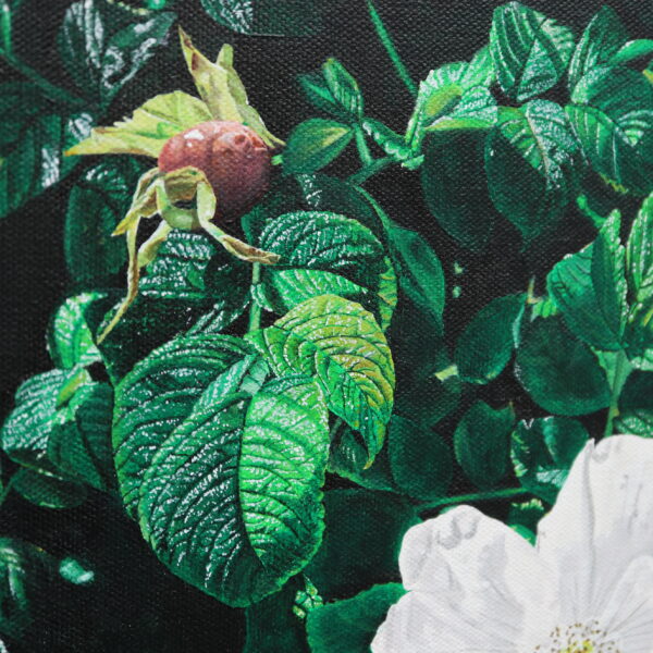 White Roses n°4 - Image 2