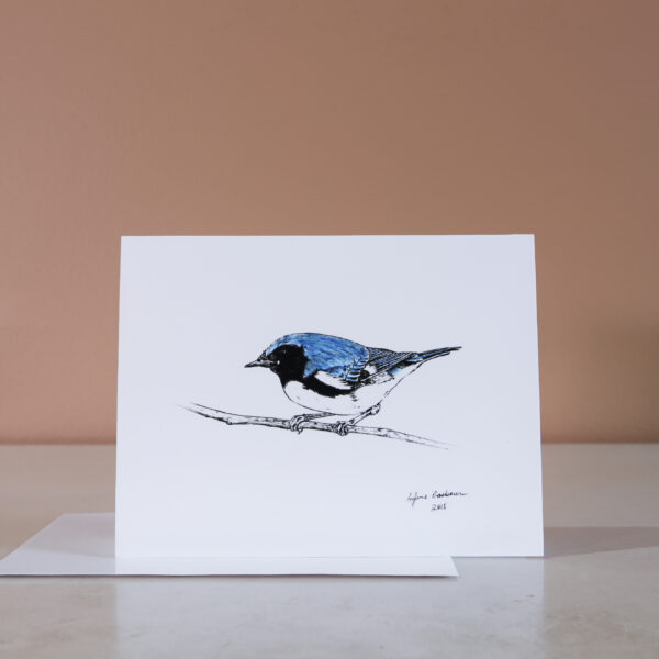 Black-throated Blue Warbler n°1 - note card