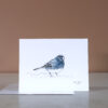 Dark-eyed Junco - note cards