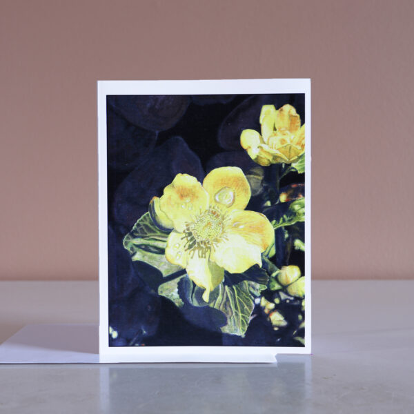 Marsh Marigold - note card