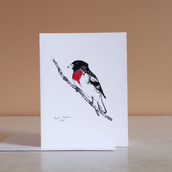 Rose-breasted Grosbeak - note card