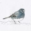 Dark-eyed Junco - note cards - Image 2