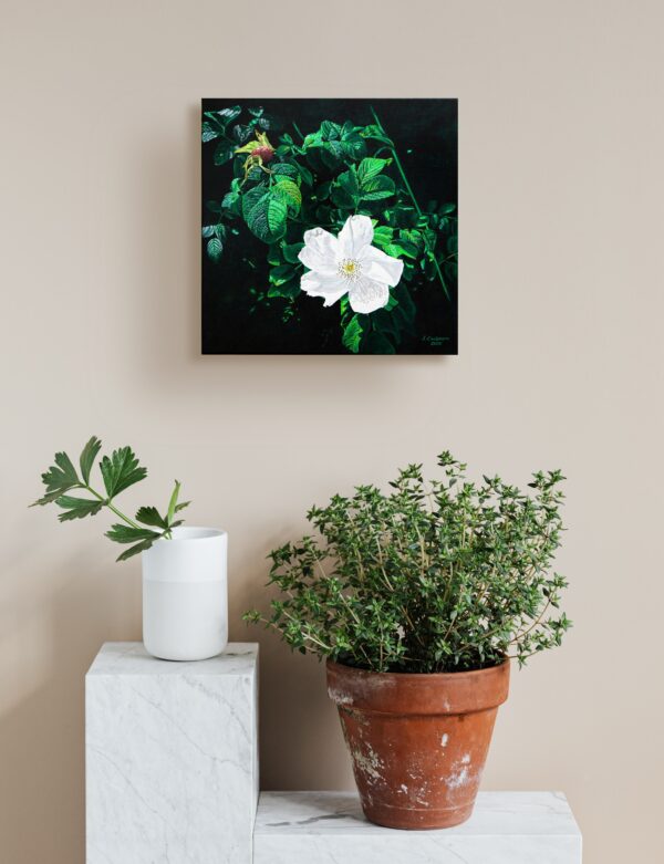 White Roses n°4 - Image 3