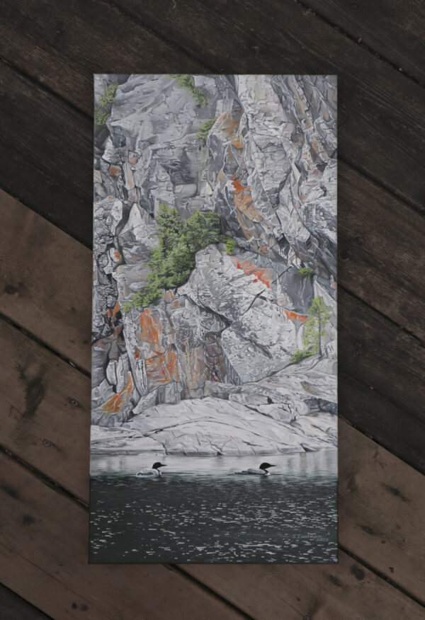 Loons & Rocks - print