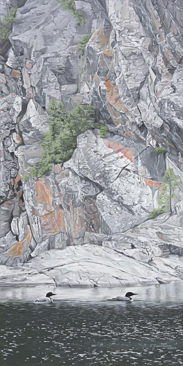 Loons & Rocks - print - Image 2