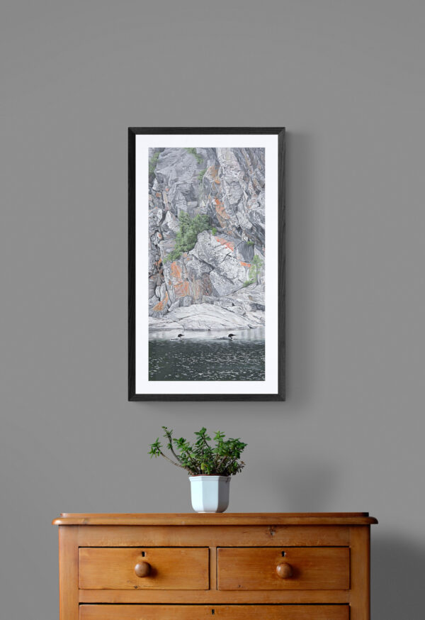 Loons & Rocks - print - Image 3